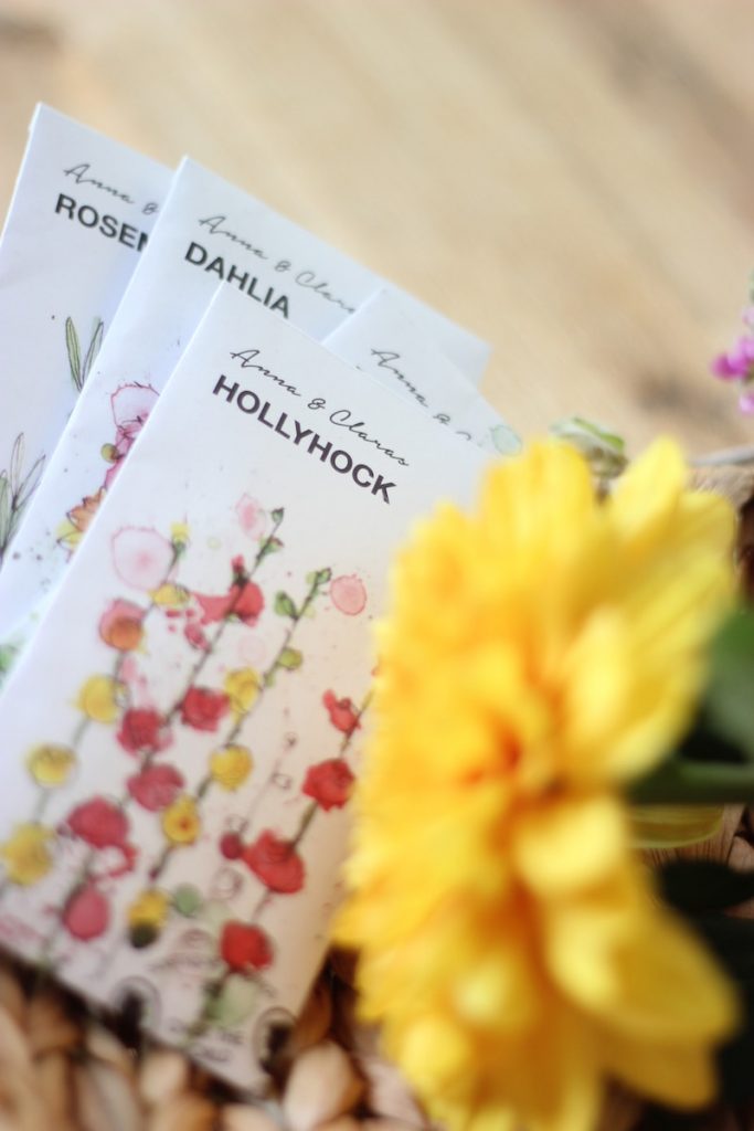 selective focus photography of Hollyhock cards