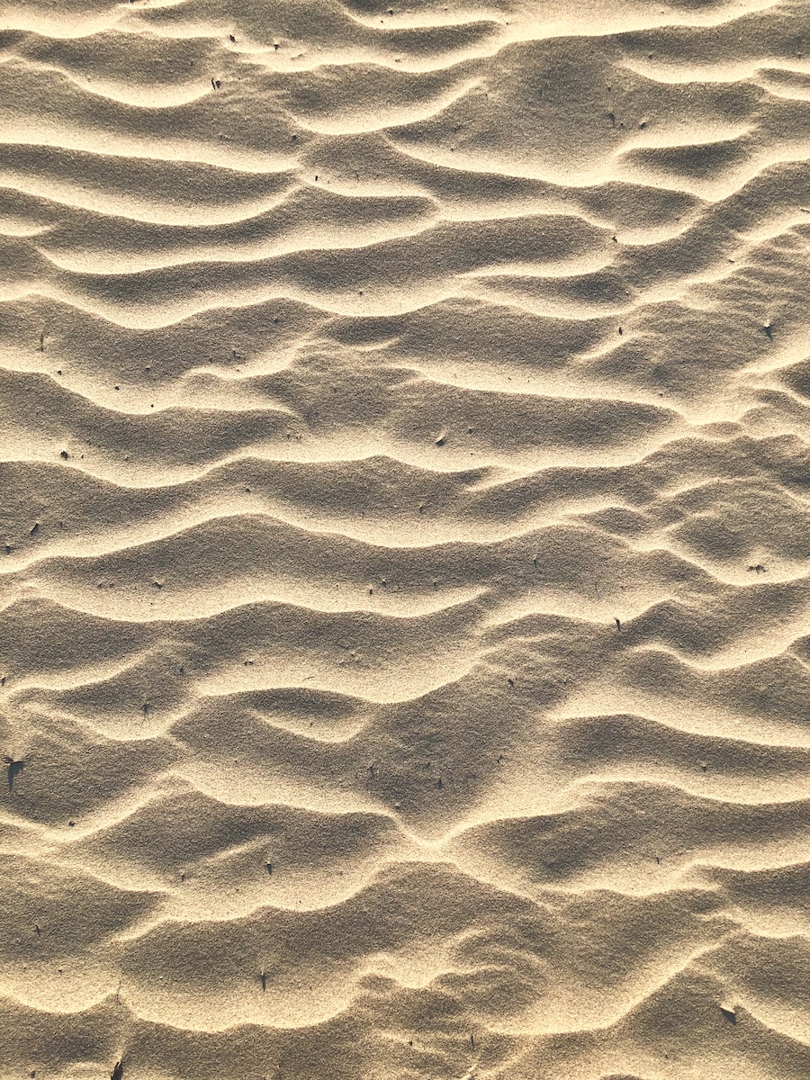 brown sand dunes photo